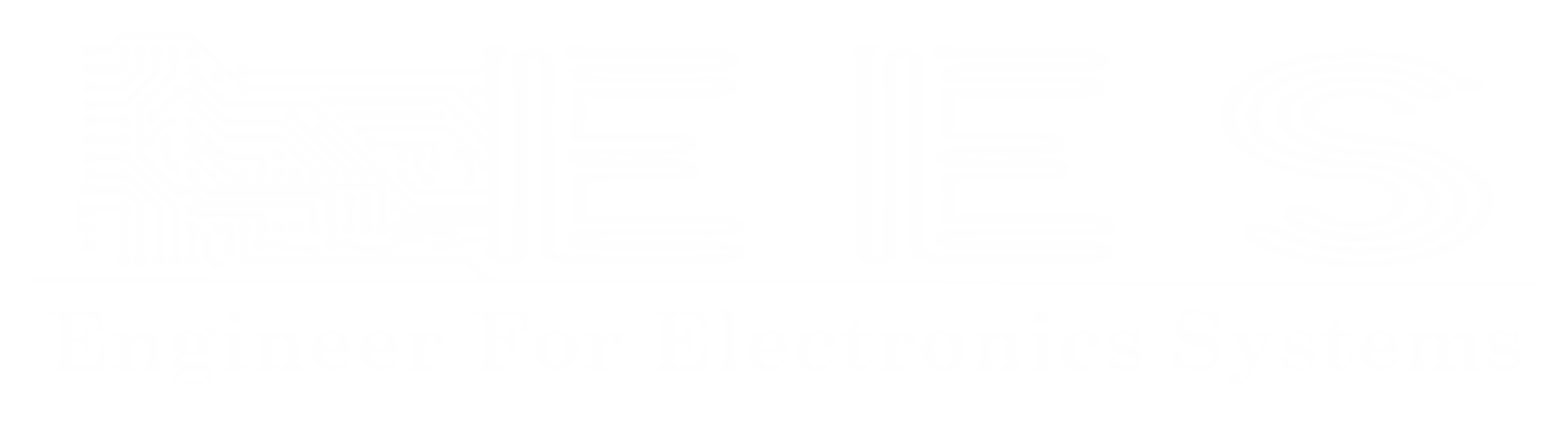 EES White logo